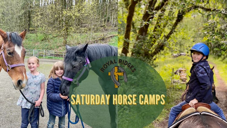 Saturday Horse Camps