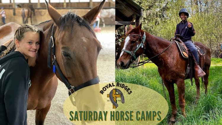 Saturday Horse Camps