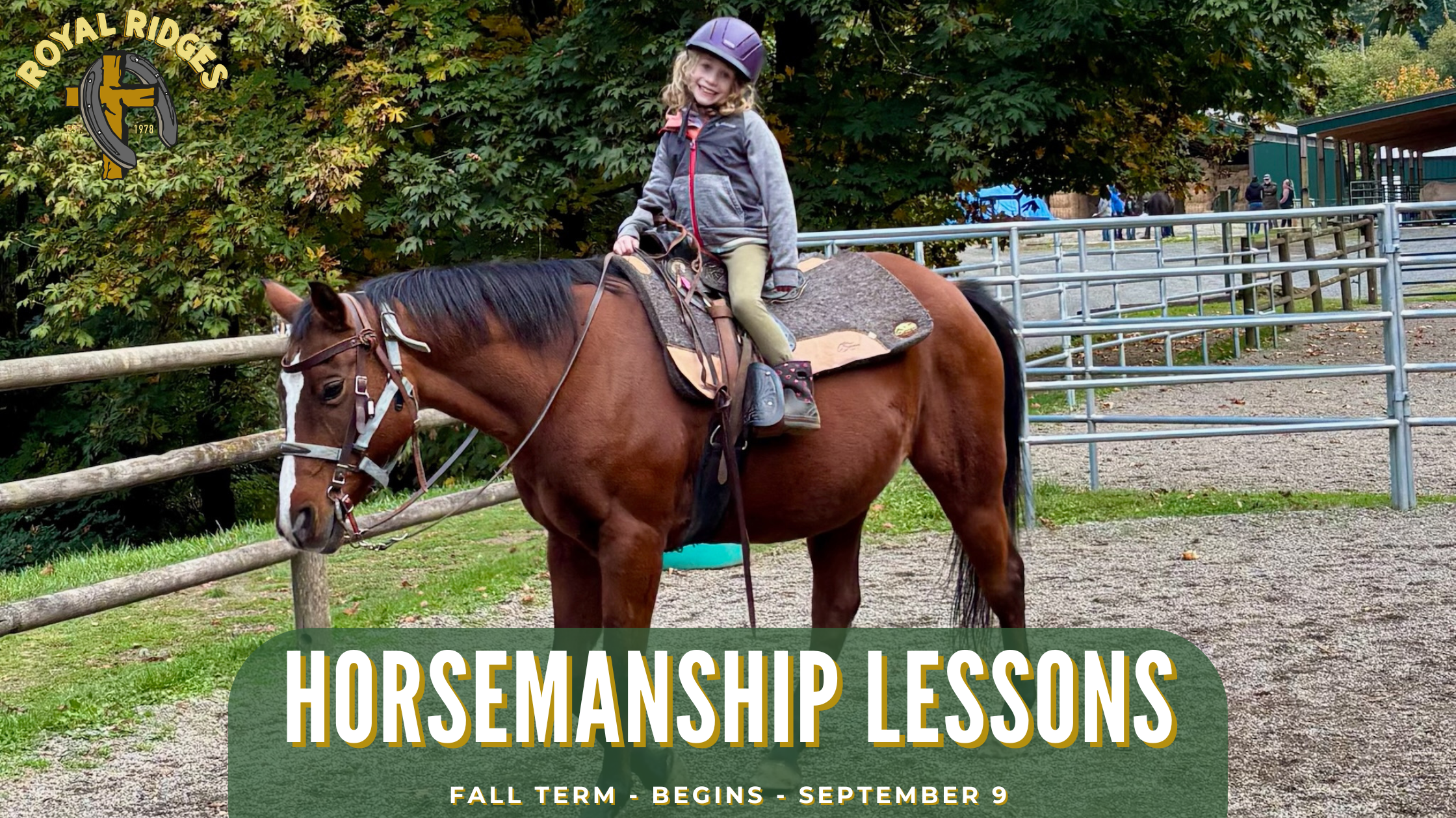 Horsemanship Lessons