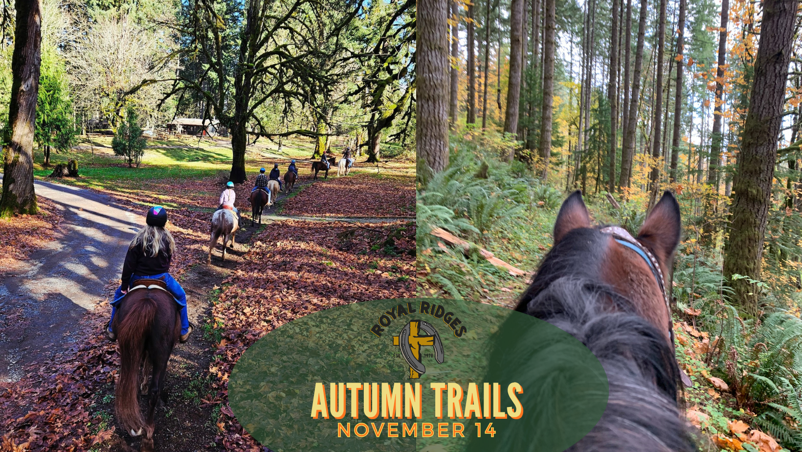 🍂 Saddle Up for Autumn Trails! 